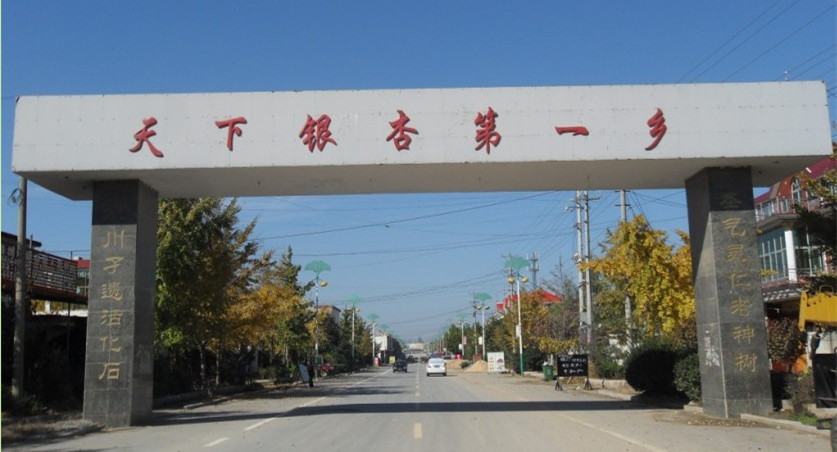2021۸Ǯһã