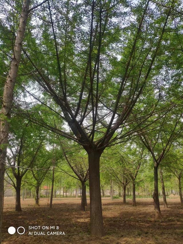 40ּ޽